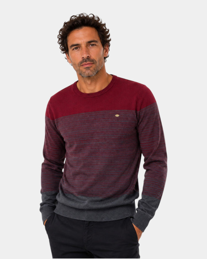 Raymond Elegant Sweater