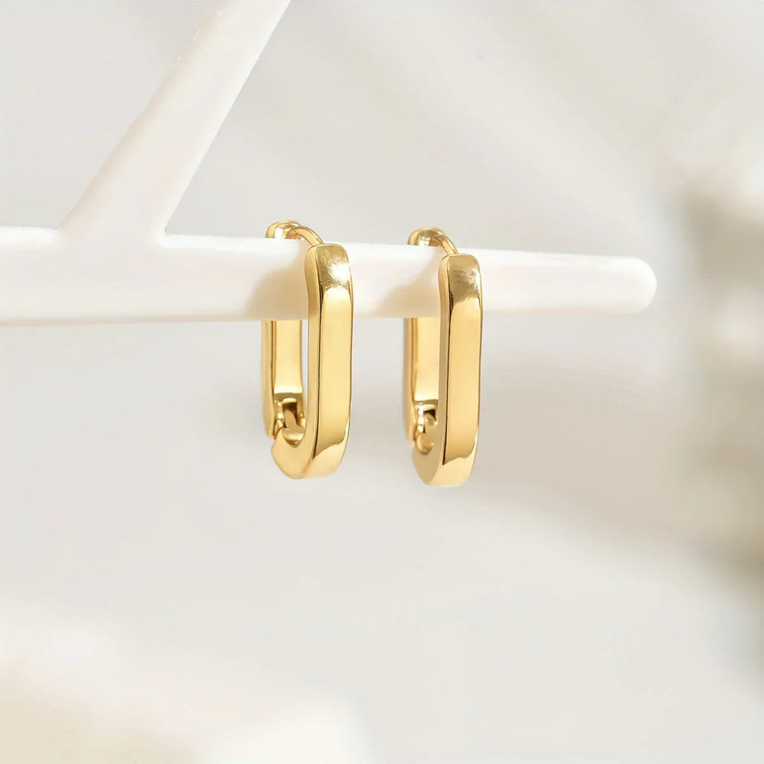 Aura Elegant Earrings